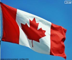 yapboz Kanada bayrağı